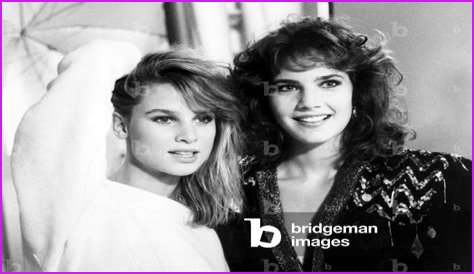 All About Nicollette Sheridan: A Television Icon